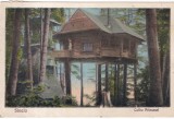 Sinaia. Cuibu Princesei (circulata 1930)