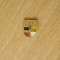 M3 Q 85 - insigna - orase - Soci