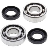Cumpara ieftin Lagare cu arbore cotit set cu garnituri pentru KAWASAKI KFX; SUZUKI LT 80 1987-2006
