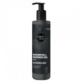 Sampon si gel de dus pentru barbati Blackwood&amp;Mint, 280ml, Organic Shop