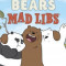 We Bare Bears Mad Libs