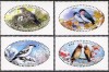 COREEA DE NORD 2016 FAUNA PASARI, Nestampilat