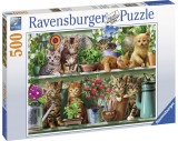 Cumpara ieftin Puzzle Pisici Pe Raft, 500 Piese, Ravensburger