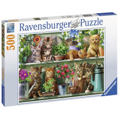 Puzzle Pisici Pe Raft, 500 Piese