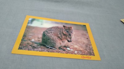CARTE POSTALA AUSTRALIA NECIRCULATA foto