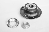 Kit Rulment Roata (Butuc) 492847 con55299