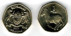 Botswana 2007 - 1 pula, zebra, UNC