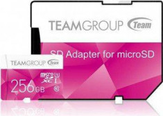 Card de Memorie Team Group Micro SDXC 256GB UHS-I +Adaptor Roz foto