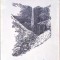 MOARTEA PAMANTULUI-J.H. ROSNY AINE-267675