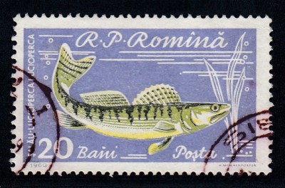 ROMANIA 1960 LP 510 a PISCICULTURA 20 BANI EROARE PUNCT PE N DIN BANI STAMPILAT foto