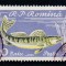 ROMANIA 1960 LP 510 a PISCICULTURA 20 BANI EROARE PUNCT PE N DIN BANI STAMPILAT