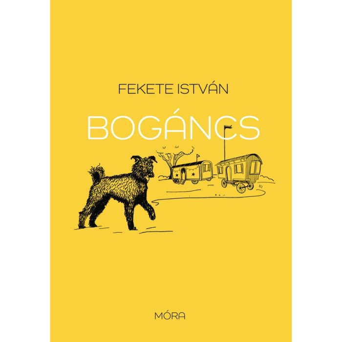Bog&aacute;ncs - Fekete Istv&aacute;n