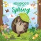 Hedgehog&#039;s Home for Spring