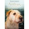 Arthur, a kir&aacute;ly - A kutya, aki &aacute;tszelte a dzsungelt, hogy otthonra leljen - Mikael Lindnord
