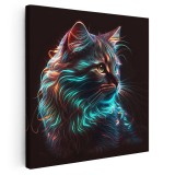 Tablou pisica albastru, negru, galben 1640 Tablou canvas pe panza CU RAMA 60x60 cm