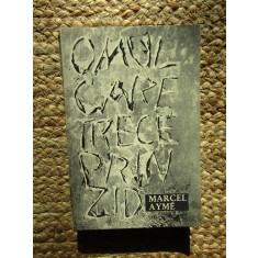 Marcel Ayme - Omul care trece prin zid