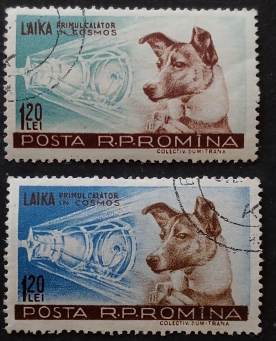 ROMANIA 1957, LP 447 Cățelușa Laika primul călător &icirc;n cosmos stampilat