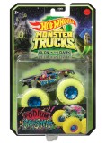 Hot Wheels Monster Trucks Random (hcb50)