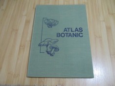 LUCIA POPOVICI--ATLAS BOTANIC - 1985 foto