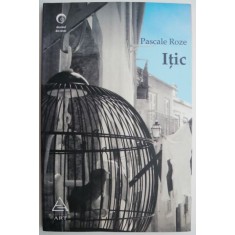 Itic &ndash; Pascale Roze
