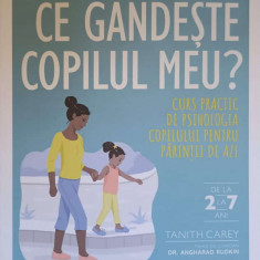 CE GANDESTE COPILUL MEU? CURS PRACTIC DE PSIHOLOGIA COPILULUI PENTRU PARINTII DE AZI-TANITH CAREY, ANGHARAD RUDK