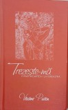 Trezeste-ma cand moartea-i la fereastra - Vladimir Pustan - Carte
