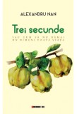 Trei secunde | Alexandru Nan