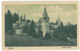 4566 - SINAIA, PELES Castle, Romania - old postcard - used - 1933, Circulata, Printata
