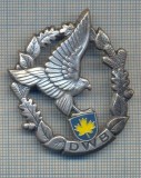 AX 222 INSIGNA -TURISM MONTAN - DRUMETIE - ,,DWB&quot; -FRUMOASA