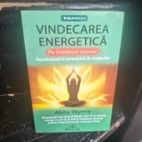 Vindecarea energetica pe intelesul tuturor - Abby Wynne