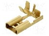 Terminal tip plat, pentru surub {{Orificiu pentru &amp;#351;urub}}, BM GROUP - BM 02195