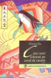 CINCI NORI COLORATI PE CERUL DE RASARIT-FLORINA ILIS-352002