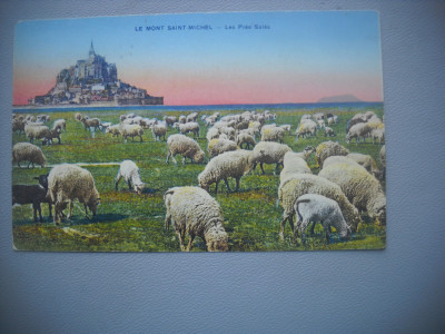 HOPCT 72859 IMASUL SARAT SI TURMA DE OI-MONT SAINT MICHEL FRANTA -CIRCULATA foto