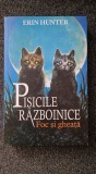 PISICILE RAZBOINICE. Foc si Gheata - Erin Hunter (II)
