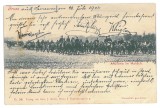 2214 - TIMISOARA, Military, Litho, Romania - old postcard - used - 1904