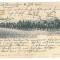 2214 - TIMISOARA, Military, Litho, Romania - old postcard - used - 1904