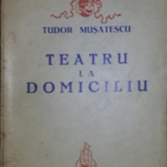 TEATRU LA DOMICILIU