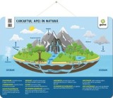 Circuitul apei in natura (poster), Gama