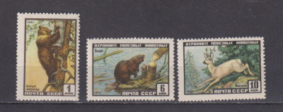 RUSIA U.R.S.S. 1961 FAUNA MI: 2448-2450 MNH foto