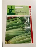 Seminte Telina Pt. Petiol Pascal Green 1 g., Oem