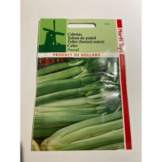 Seminte Telina Pt. Petiol Pascal Green 1 g.