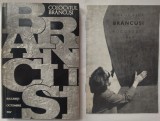 Cumpara ieftin COLOCVIUL CONSTANTIN BRANCUSI (BUCURESTI 13-15 OCTOMBRIE 1967 / EDITURA MERIDIANE, 1968) + BROSURA REPORTAJ FOTOGRAFIC EDITATA DE REVISTA "SECOLUL 20"