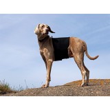 Ortocanis - Protector de coloană vertebrală - pentru c&acirc;ini M
