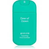 HAAN Hand Care Dew of Dawn spray de curățare pentru m&acirc;ini antibacterial 30 ml