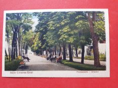 Carte postala veche BAILE COVASNA Promenada ? 1939 fara timbru foto