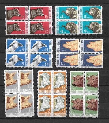 ROMANIA 1962 - ANIMALE DE RASA, BLOCURI DE 4 VALORI, MNH - LP 552 foto