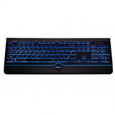 Tastatura Tracer TRAKLA46473 Ofis Pro Blue LED USB Negru foto