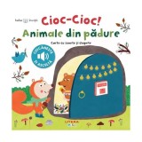 Bebe &icirc;nvață. Cioc-cioc! Animale din pădure - Board book - Valeria Valenza - Litera mică