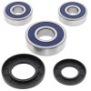 Kit Rulmenti roata spate Suzuki GS500 GSX600 Katana Yamaha FZR1000 All Balls&nbsp;