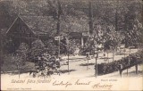 HST CP322 Salutări din Băile Felix - Gara 1905 carte poștală